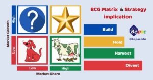 BCG-Matrix